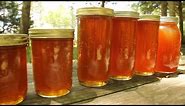 Harvesting DELICIOUS Raw, Organic Honey!