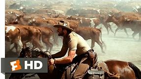 Australia (3/5) Movie CLIP - Stopping the Stampede (2008) HD