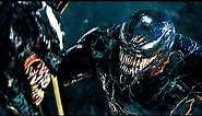 Venom Fighting Riot | Venom