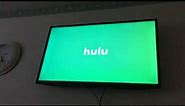 Hulu Logo (2017)