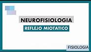 NEUROFISIOLOGIA | Reflejo Miotático