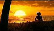 goku watching sunset dragon ball 4k live wallpaper