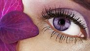 Are Purple Eyes Real? How It's Possible To Have Violet Colored Eyes