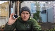 How to Photograph Wildlife with an iPhone - Tips and Tricks