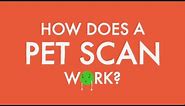 How does a PET scan work?