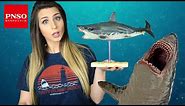 Incredibly accurate Megalodon Model by PNSO review