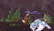 How to tame Ankha and Magria (HD) the rare Spirit Beast Tigers in Mount Hyjal.