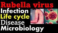 Rubella virus microbiology | infection, pathology, symptoms and replication cycle