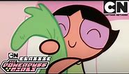 Cover Up | The Powerpuff Girls Classic | Cartoon Network