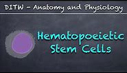 DITW - Hematopoietic Stem Cells