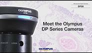 Meet the Olympus DP Series Cameras