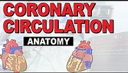 The Anatomy of the Coronary Circulation