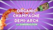Balloon Arch Tutorial ~ Organic Champagne Demi Arch - Balloon Decoration Tutorial