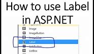 How to use Label control in ASP.NET