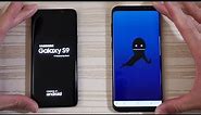 Samsung Galaxy S9 vs Galaxy S8 Plus with Oreo Update - Speed Test!