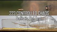 .223 CONTROLLED CHAOS Ballistic Gel Test! - Ballistic High-Speed
