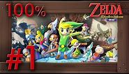 Zelda The Wind Waker HD 100% Walkthrough Part 1 | Intro & Outset Island (1080p 60fps Wii U Gameplay)