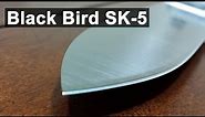 Ontario Blackbird SK-5 Knife Review