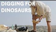 Paleontologists dig for Jurassic dinosaur fossils