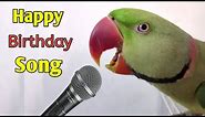 Parrot Singing and Dancing HAPPY BIRTHDAY SONG like a Human