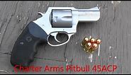 Charter Arms Pitbull 45ACP
