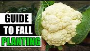 Fall Vegetable Gardening - The Complete Guide