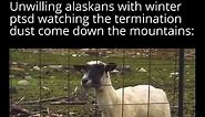 Alaska MEMES