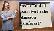 What kind of bats live in the Amazon rainforest?