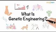 Genetic Engineering in 6 minutes | What Is Genetic Engineering? | Genetics | Simplilearn