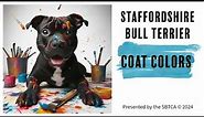 Staffordshire Bull Terrier Coat Colors
