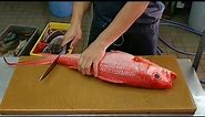 Watch Cool Fish Filleting Compilation Skills