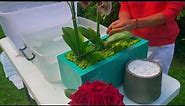 How to clean your silk plants and flower arrangements