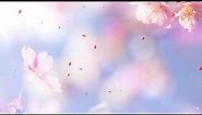 Romantic flower background petals falling video