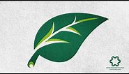 Adobe Illustrator CC - Leaf / Leaves Logo Design (No Speed art) - How to Design Leaf Green Logo