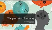 The Processes of Memory