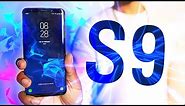 Samsung Galaxy S9 VS S9 Plus Hands On - What's New?