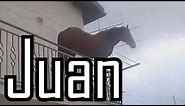 Juan leaves the balcony (Juan horse meme)