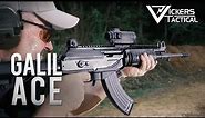 The Galil ACE Assault Rifle