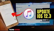 How to Update iPhone iOS via iTunes | iOS 12.3