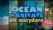 Ocean Habitats & Ecosystems