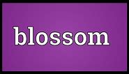 Blossom Meaning