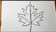 How To Draw A Leaf Step By Step 🍂 Leaf Drawing Easy