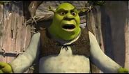 What are you doing in my swamp Shrek meme