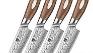 XINZUO 5 inch Steak Knives Set of 4,Japanese AUS-10 Steel 67 Layers Forged Damascus Steak Knife Set with Gift Box,Kitchen Table Knife,Black Walnut Wood Handle,Razor Sharp