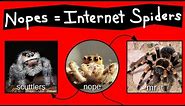Nope Chart - Internet Names for Spiders