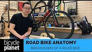 Road Bike Basics - Anatomy