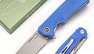 GVDV 9Cr18Mov Stainless Steel Pocket Knife Folding Knives, 3" Blade EDC Knife for Camping Fishing Hunting, Christmas Gifts for Men Women, Medium (Blue)