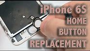 iPhone 6S Home Button Replacement
