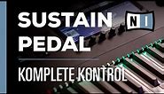 Sustain Pedal Setup | Komplete Kontrol