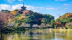 BEAUTIFUL JAPANESE GARDEN for relaxing & healing Sankeien Garden Yokohama Japan｜4K